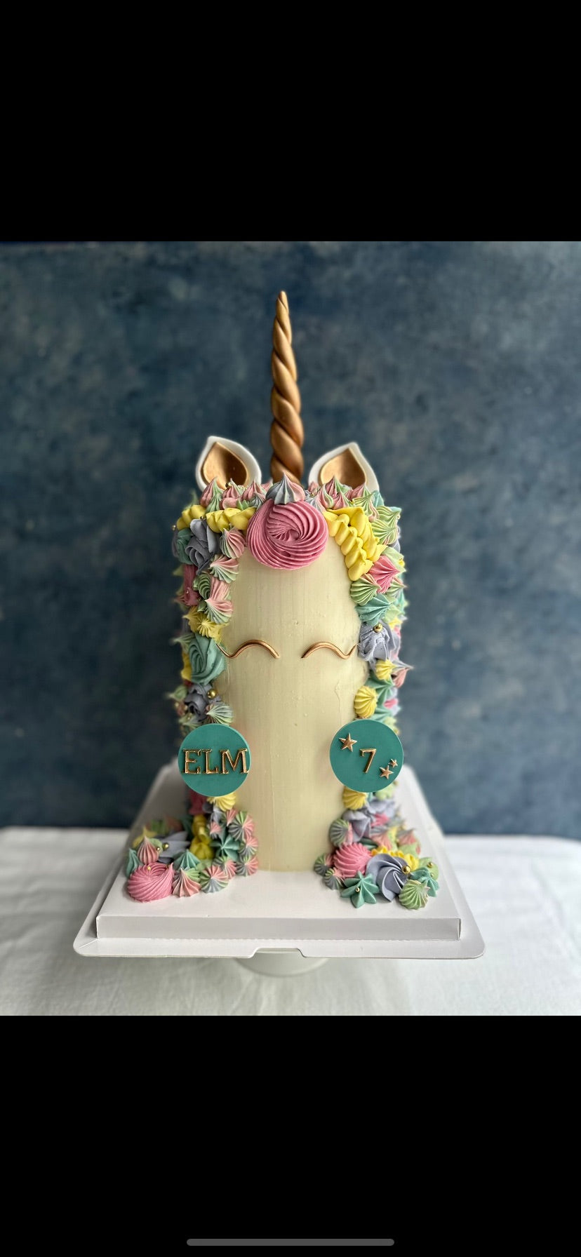 Unicorn with long hair